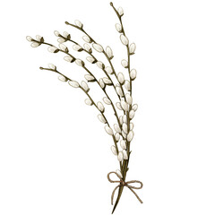 Watercolor pussy willow decoration - obrazy, fototapety, plakaty