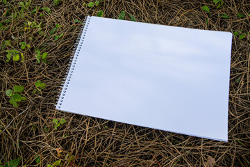 notes mockup in forest