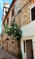 old town by the sea houses