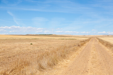 Fototapeta na wymiar Castile and Leon region rural landscape, Spain
