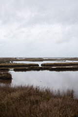 Salinas de Aveiro com céu nublado