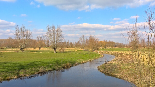 Creek along meadow with bare winter trees and golden reed and houses and church in the background in Kalkense meersen nature reserve, Wichelen, Flanders, Belgium 