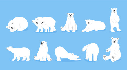 White ice polar bear set, cute animal friends in different poses. Nature arctic wildlife, standing zoo mammal, winter polarity. Tundra north predator. Vector cartoon utter illustration © Natalia