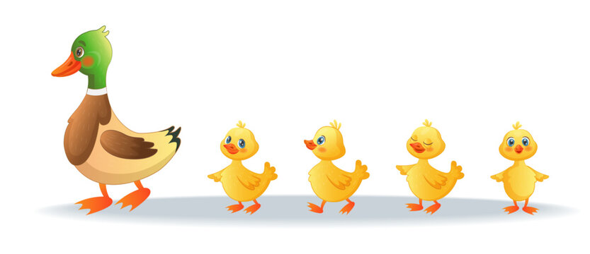 Cute duck and young duckling animals. Family walking on wild farm, funny yellow group, lake or farm birds. Mom with little kids vector isolated on white background cartoon tidy illustration