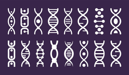 Fototapeta na wymiar Dna pictograms, genetic medical elements. Colorful human gene structure, microbiology molecular code. Genes spiral chain different forms. Microbiology line logo. Vector tidy chemistry icons