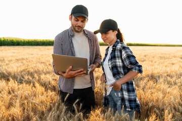 Couple of farmers examines the field of cereals and sends data to the cloud from laptop. Smart...