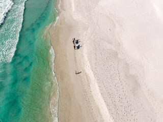 Aerial view of a person riding a horse along the beach, Cape Town, South Africa.