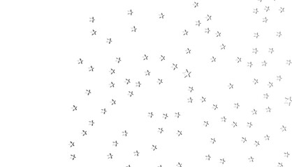 XMAS Stars - stars. Confetti celebration, Falling silver abstract decoration for party, birthday celebrate,