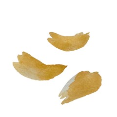 Naklejka premium Petal brown peony flower set horizontal watercolor