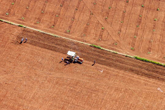 Aerial view of farmers and tractor, Aydin, Turkey.