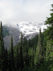 Snowy Peak Hidden in Clouds - Mount Rainier National Park 