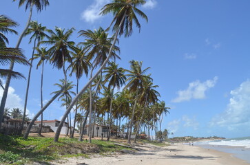 Obraz premium Praia de Caraúbas, Rio Grande do Norte