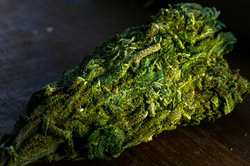 marihuana y cannabis