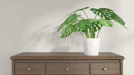 Monstera plant in white flower pot on brown wooden dresser top in white wall background with shadows from window. Minimalist style with space for text or image. 3d render