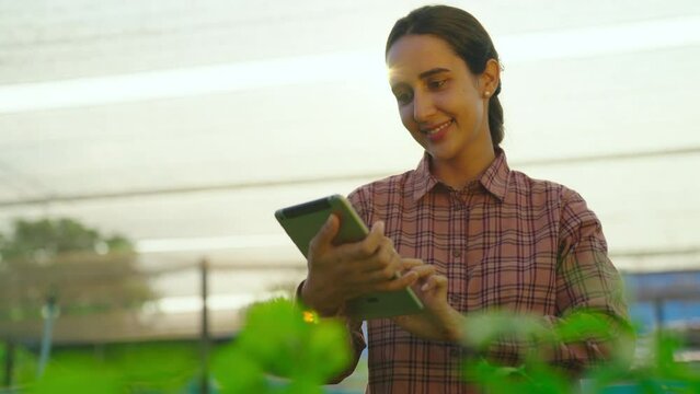 Female farmer with a tablet computer in a field. She using tablet with smiling at her farm. Checking green leaf and smile with happy. Farmer, Lifestyle, Nature, Working, Environment and Summer concept