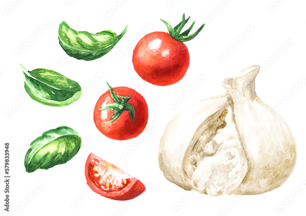 Wall mural Burrata italian soft cheese with tomatoes and basil set.  Hand drawn watercolor illustration  isolated on white background