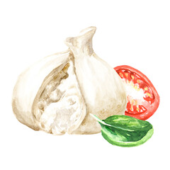 Burrata italian soft cheese with tomatoes and basil.  Hand drawn watercolor illustration  isolated on white background