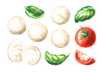 Mozzarella soft cheese with tomatoes and basil set.  Hand drawn watercolor illustration,  isolated on white background