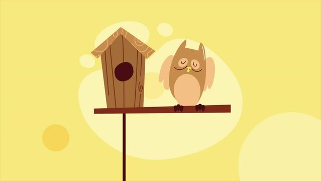 wooden bird house with owl animation