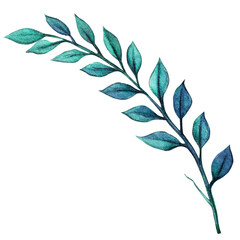 watercolor hand drawn decorative greenery element © angela0982