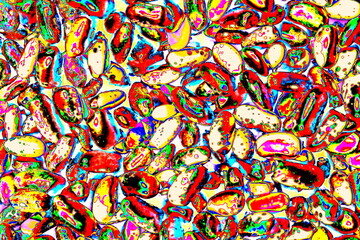 Fototapeta premium Red bean grains, variegated beans, scattered.