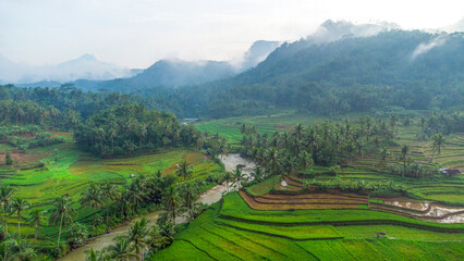 Green Terraced Rice Field in bruno , purworejo, central java, indonesia