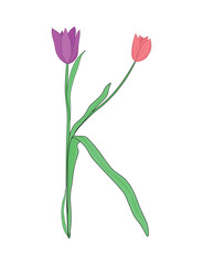 Letter K of English alphabet from tulip flowers, floral font for spring Mother's Day design