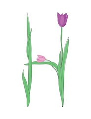 Fototapeta premium Letter H of English alphabet from tulip flowers, floral font for spring Mother's Day design