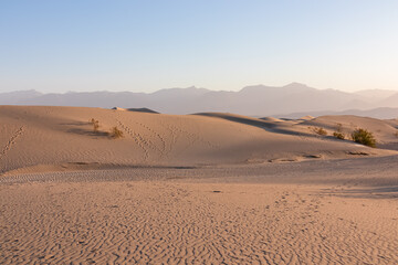 Scenic view on natural ripple sand pattern during sunrise at Mesquite Flat Sand Dunes, Death Valley National Park, California, USA. Morning walk in Mojave desert with Amargosa Mountain Range in back