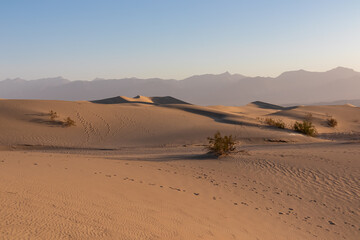 Scenic view on natural ripple sand pattern during sunrise at Mesquite Flat Sand Dunes, Death Valley...