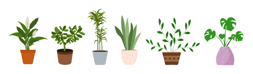 Indoor house plants vector set isolated on white background. Houseplant collection. Flat vector illustration