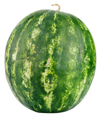 Single ripe watermelon isolated on transparent background