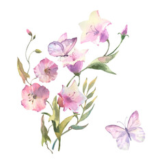 Watercolor Field flowers, bluebell flower and bindweed bouquet and butterfly, isolated on white background. For the design and decoration of frames, banners, postcards, certificate