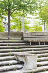 Bench and seating steps under trees invite you to linger in the shade. The steps have patina and the furniture looks old and worn. Cherry trees form a green canopy. 