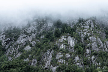 Landscape between Caleta Yungay and Tortel - traveling the Carretera Austral at the end of summer - Patagonia, Chile