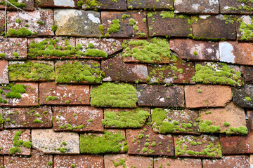 Close up of old terracotta roof tiles broken and covered with moss
