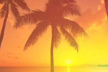 silhouette of tropical palm trees and ocean sunset 