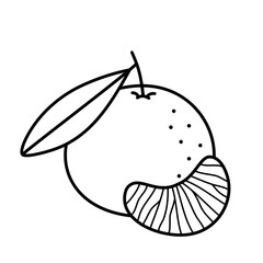 Mandarin, tangerine, clementine. Whole citrus fruit with leaf and slice. Hand drawn icon in sketch doodle style. Isolated vector illustration.