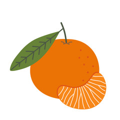Mandarin. Whole tangerine and slice. Isolated vector illustration in flat cartoon style.