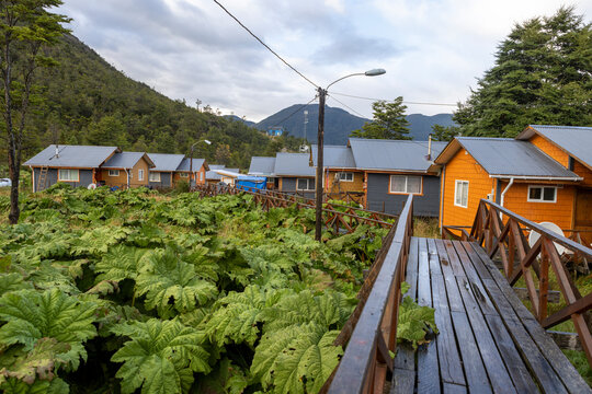 Small colorful houses and nalca plants along the wooden paths of Tortel, Patagonia, Chile
