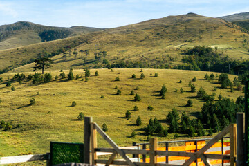 Fototapeta premium fields and dunes 1