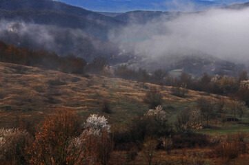 Pre-Balkan misty landscape