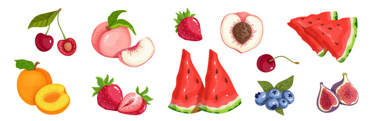 Set of ripe summer berries and fruits. Vector graphics.