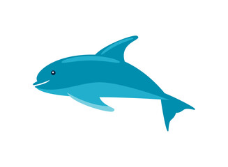 dolphin aquatic animal