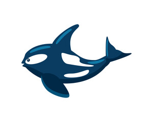 orca whale aquatic animal