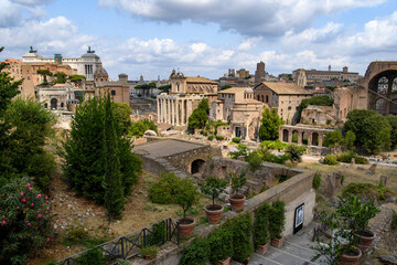 Fototapeta na wymiar Skyline view of the Roman Forum