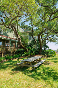 Navarre, Florida- Wooden picnic table under the shade of the tree near the bay. Rest area on a grass land near the fenced buildings on the left.