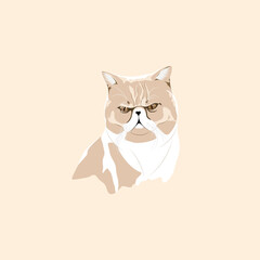 Cat illustration, funny cat