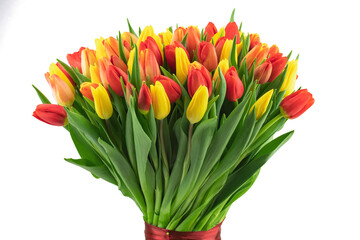 a large bouquet of fresh yellow and red tulips, isolated