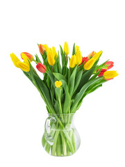 a large bouquet of fresh yellow and red tulips, isolated